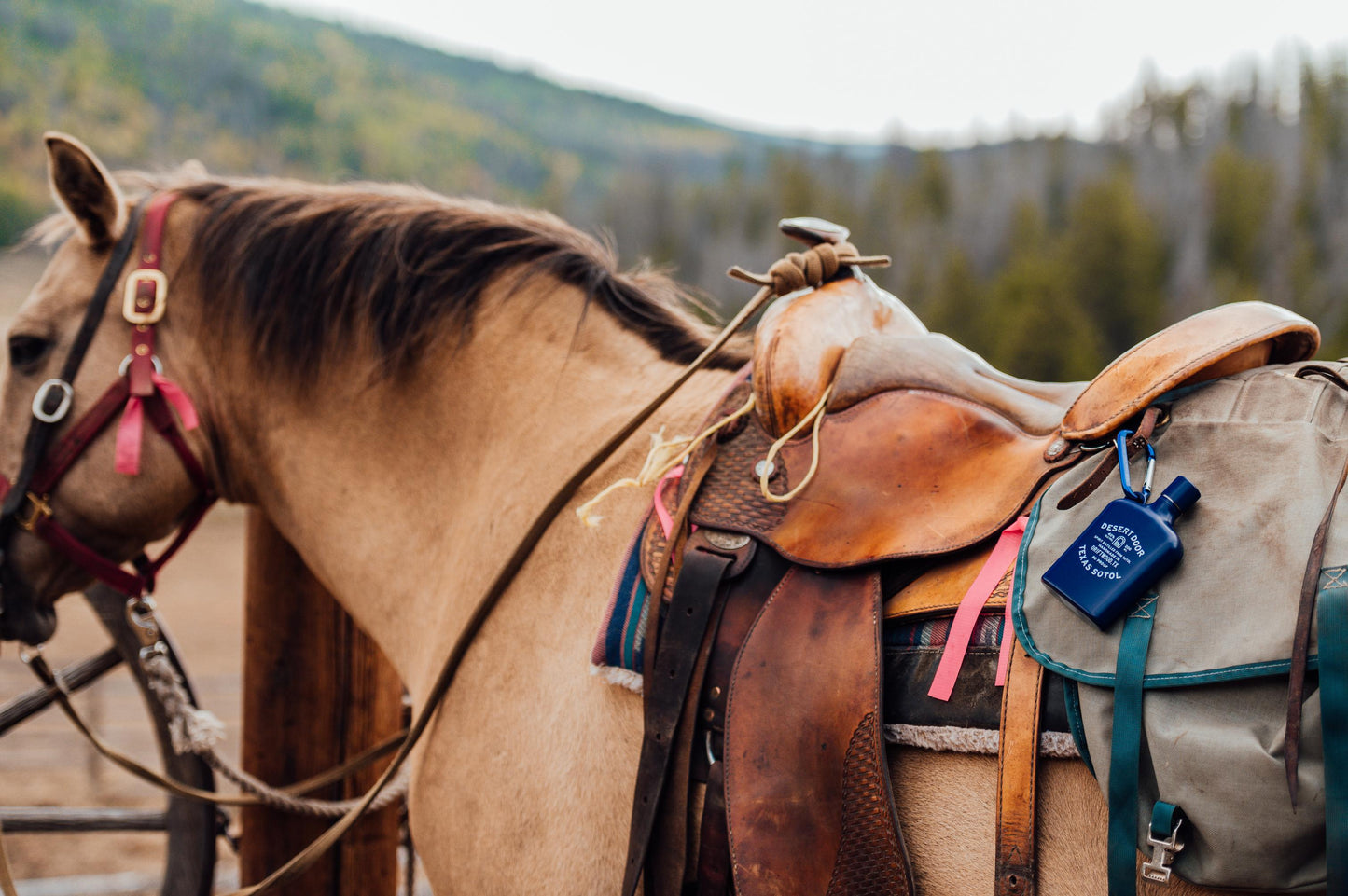 Samuelson Outfitters