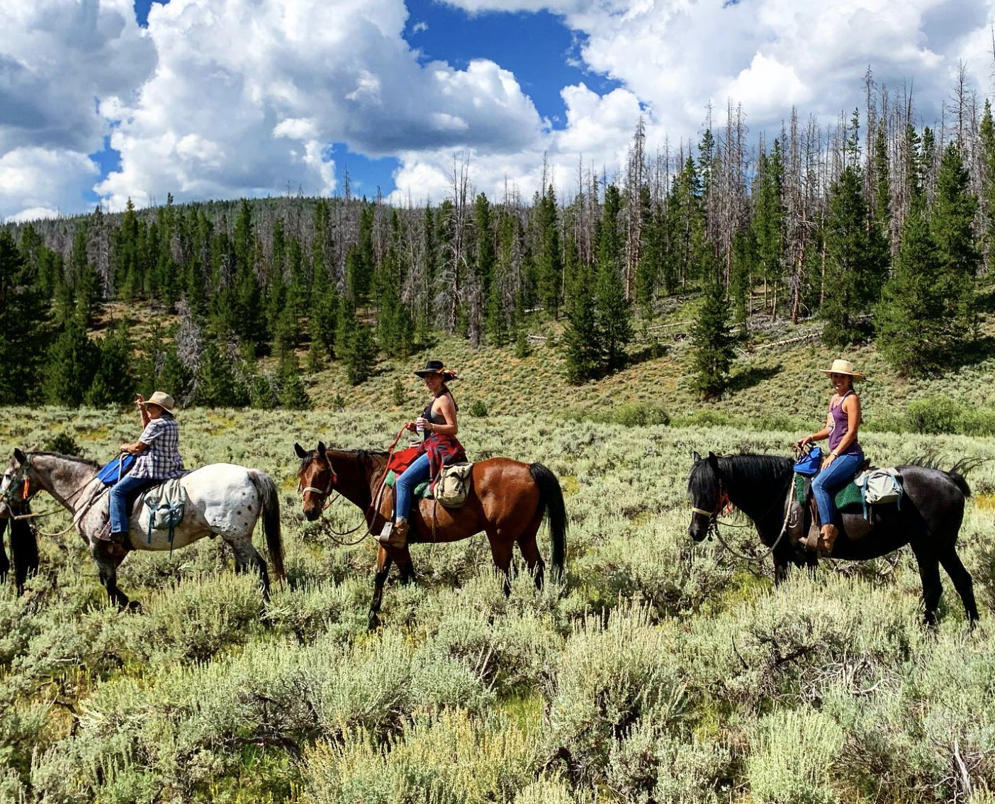 Samuelson Outfitters