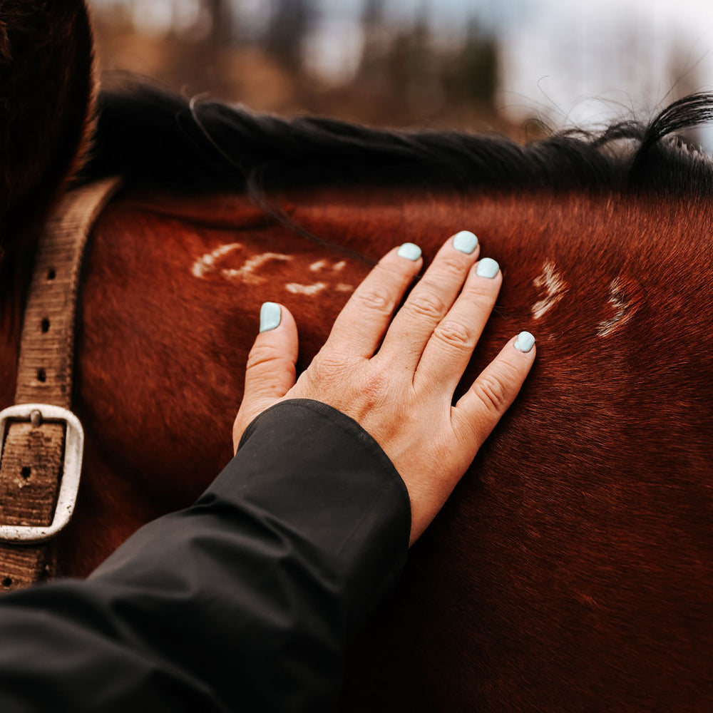 Cowgirl Retreat in Grand County, Colorado