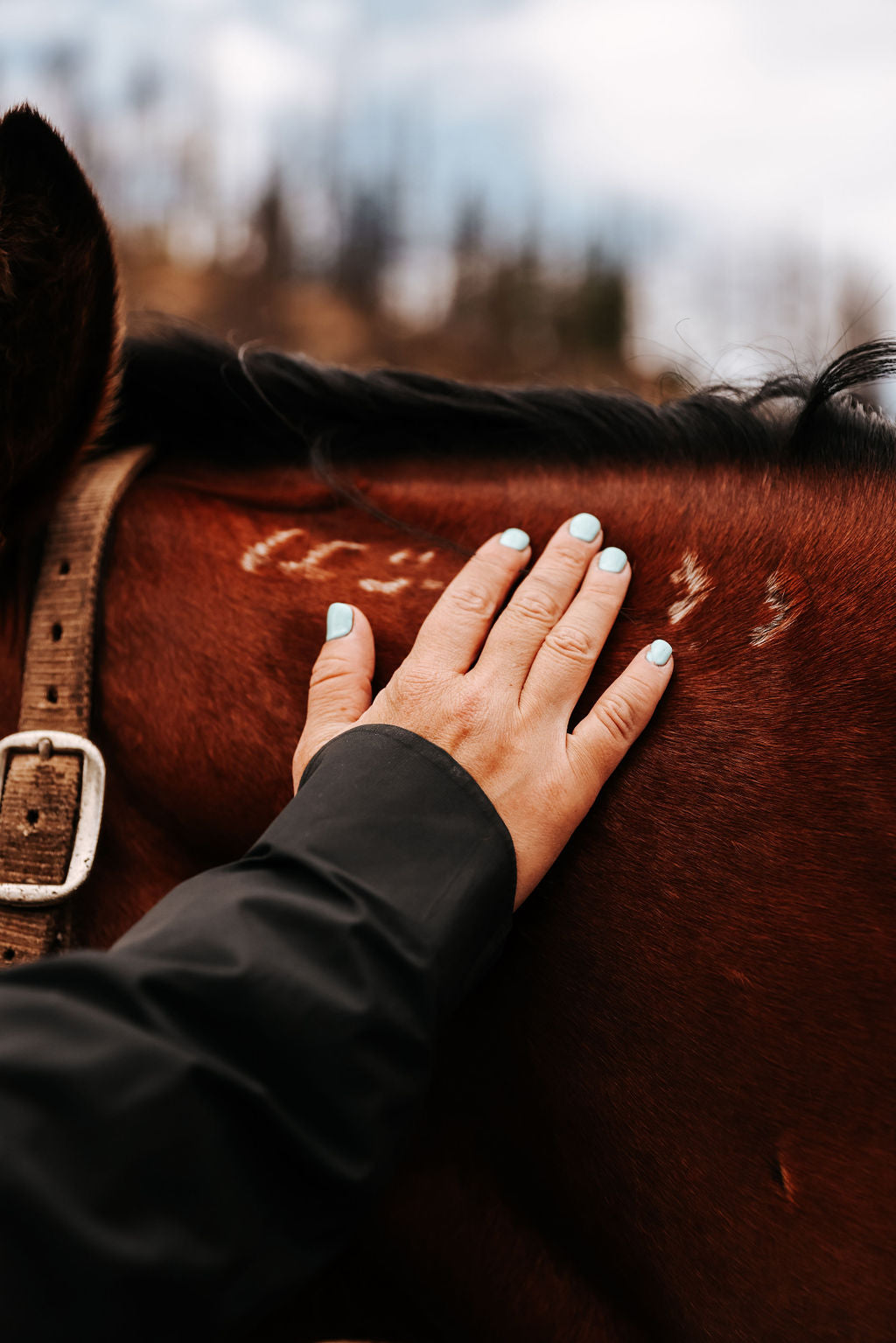 Cowgirl Retreat in Grand County, Colorado