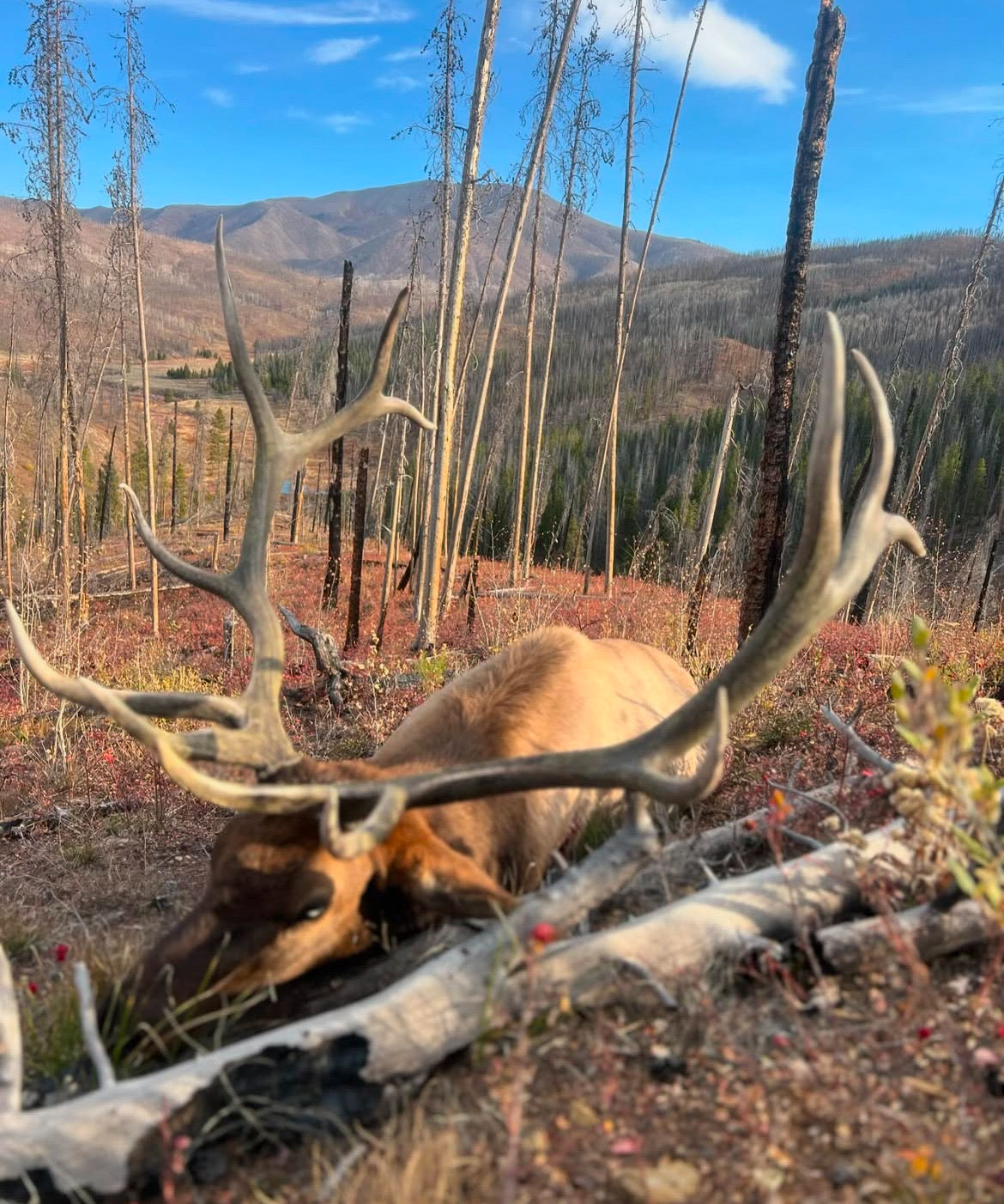 Samuelson Outfitters